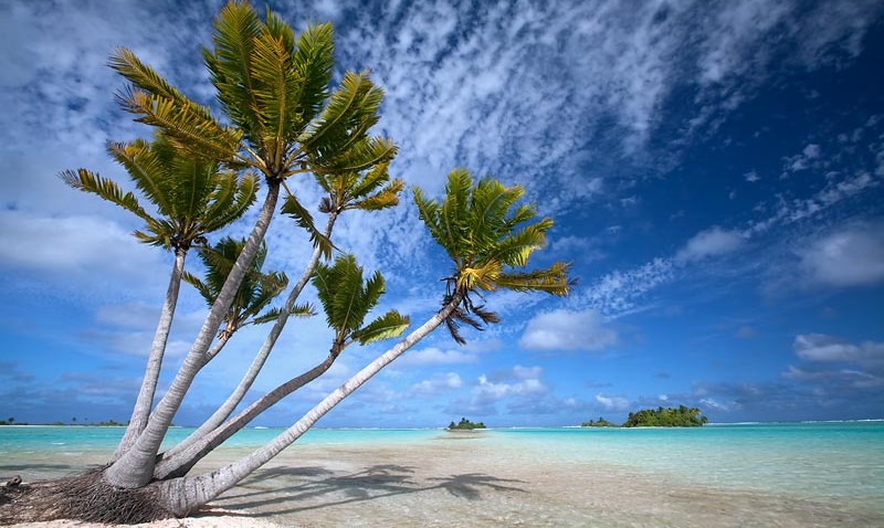 Coconut-Palm-Trees-on-small-motu-atoll-in-lagoon-6-Fakarava-Tahiti3